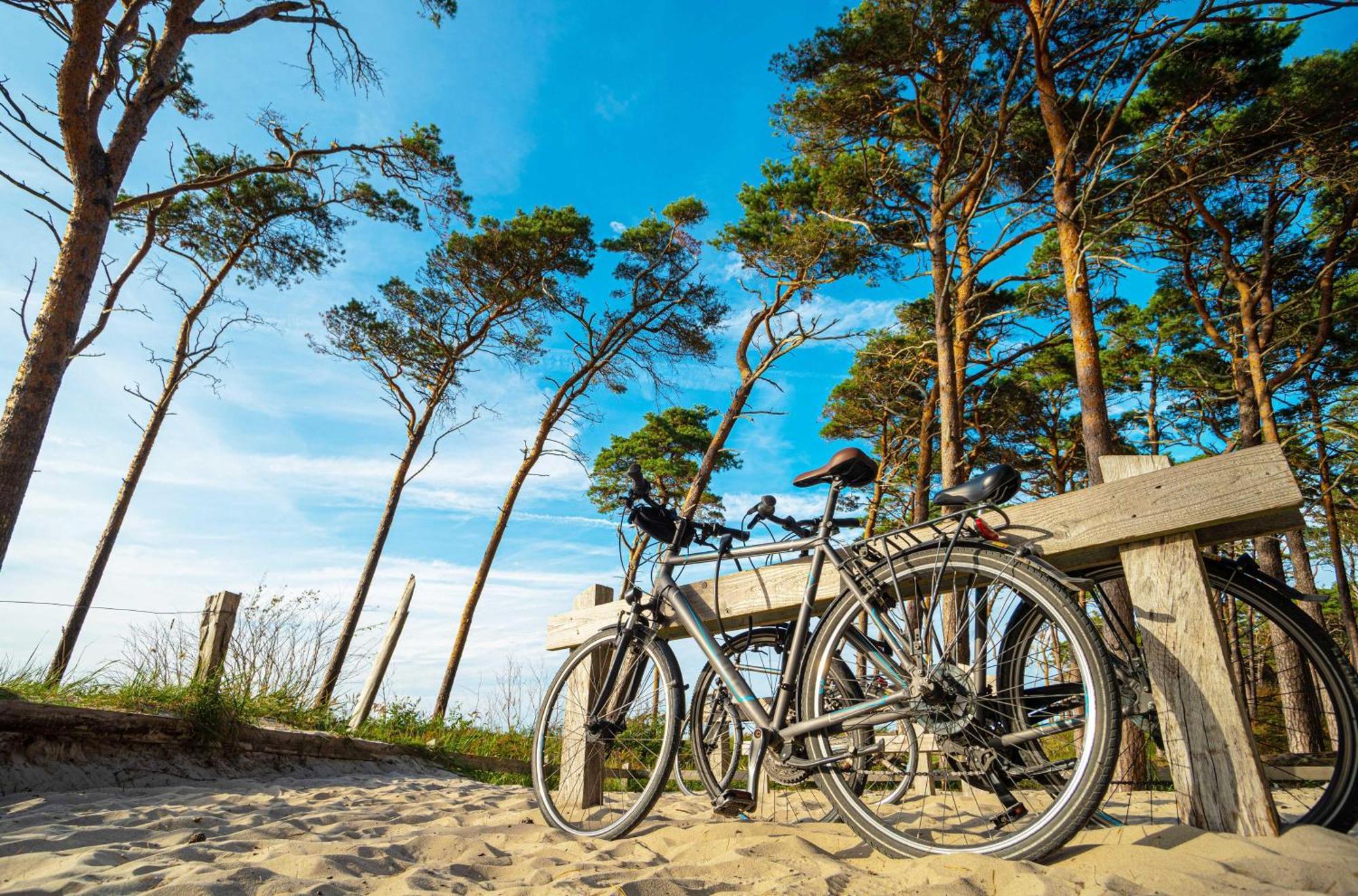 Meeresbrise Im Ostseeheilbad Zingst Eksteriør bilde