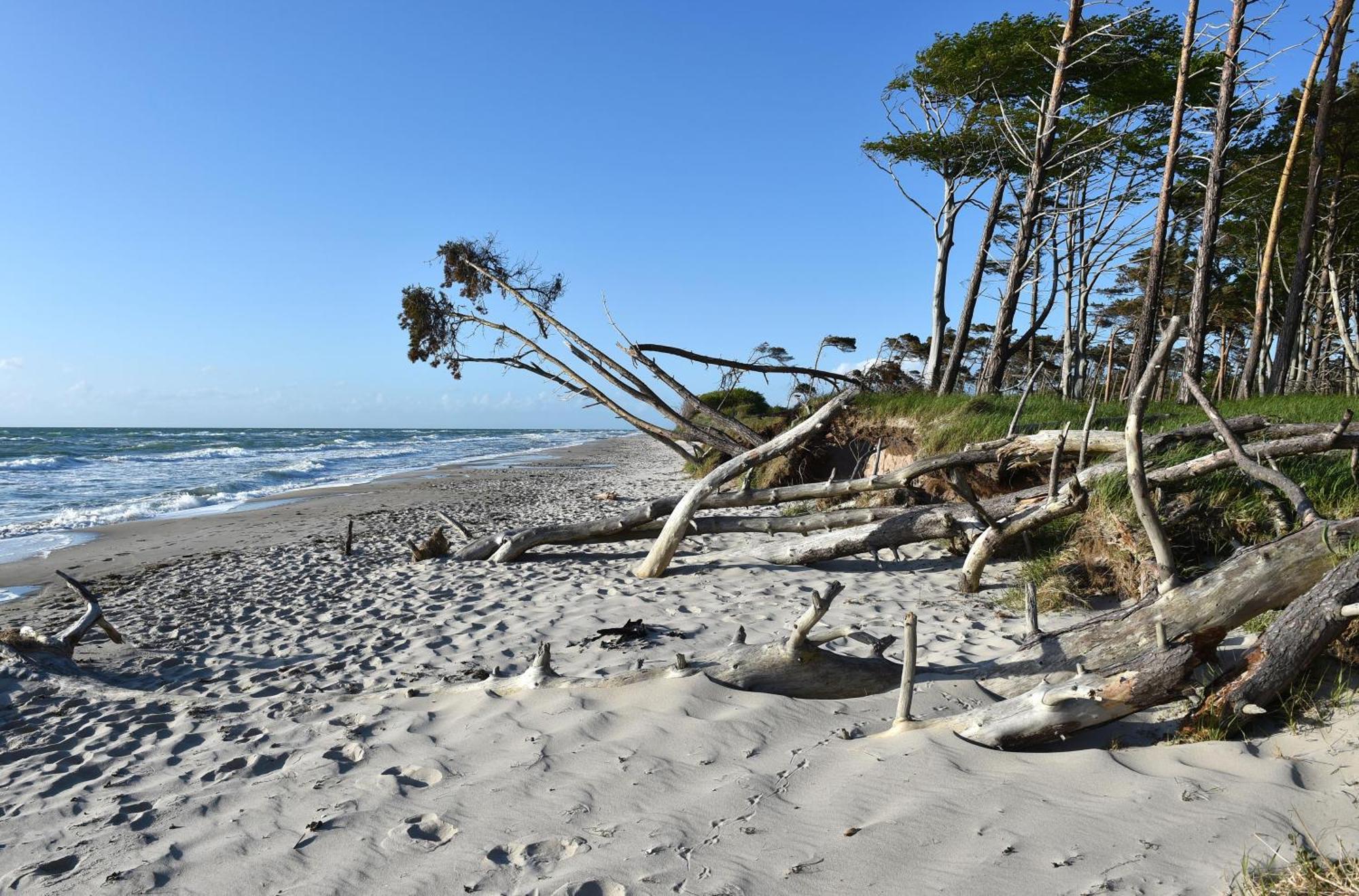 Meeresbrise Im Ostseeheilbad Zingst Eksteriør bilde